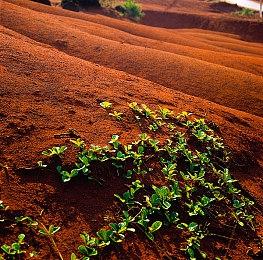 传闻：EA可能正在开发一款漫威IP新游戏